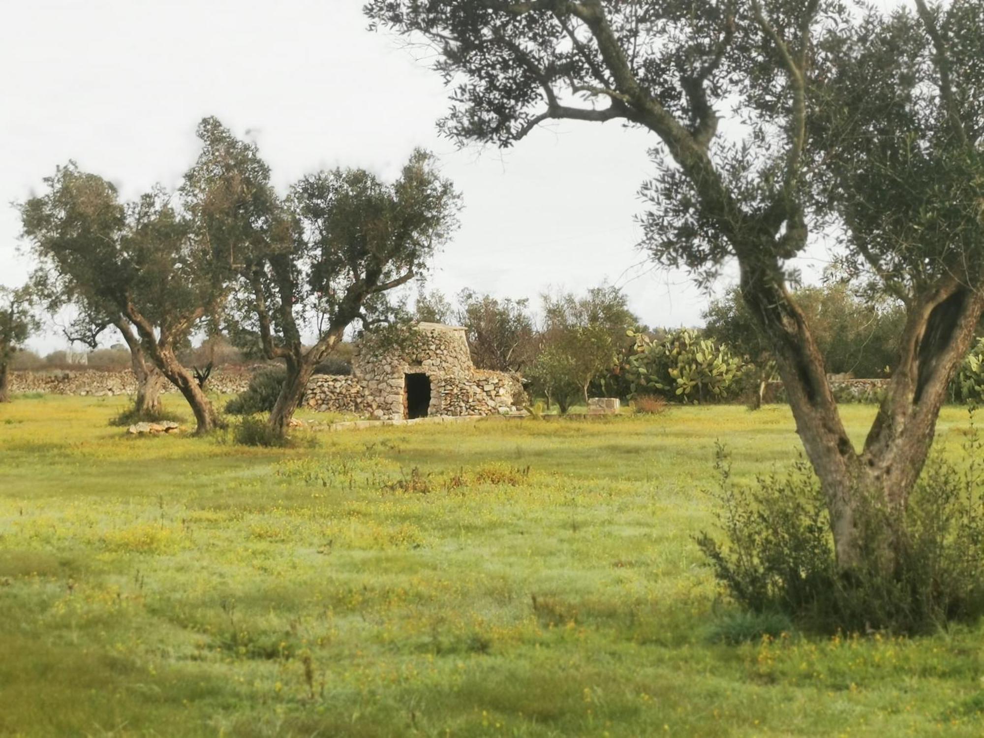 Villa Mios Muro Leccese Εξωτερικό φωτογραφία