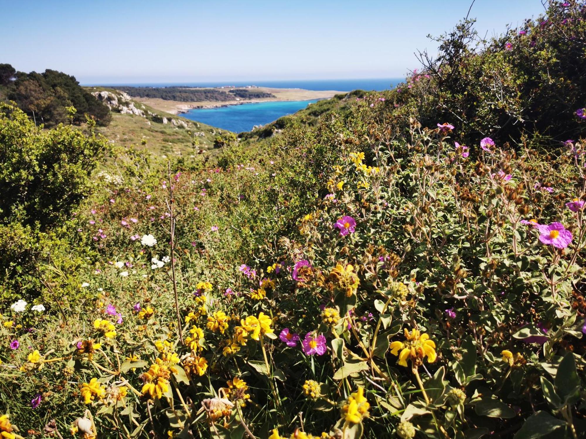Villa Mios Muro Leccese Εξωτερικό φωτογραφία