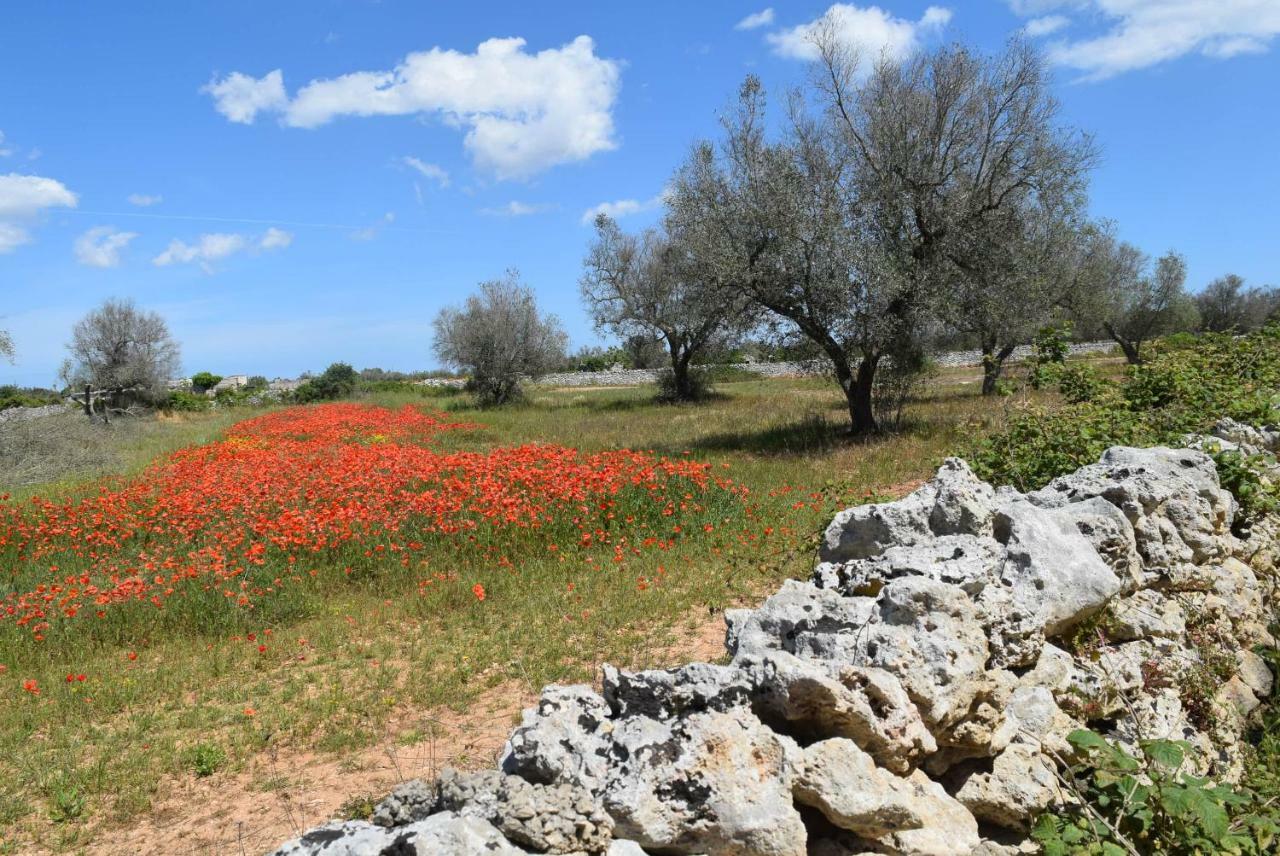 Villa Mios Muro Leccese Εξωτερικό φωτογραφία