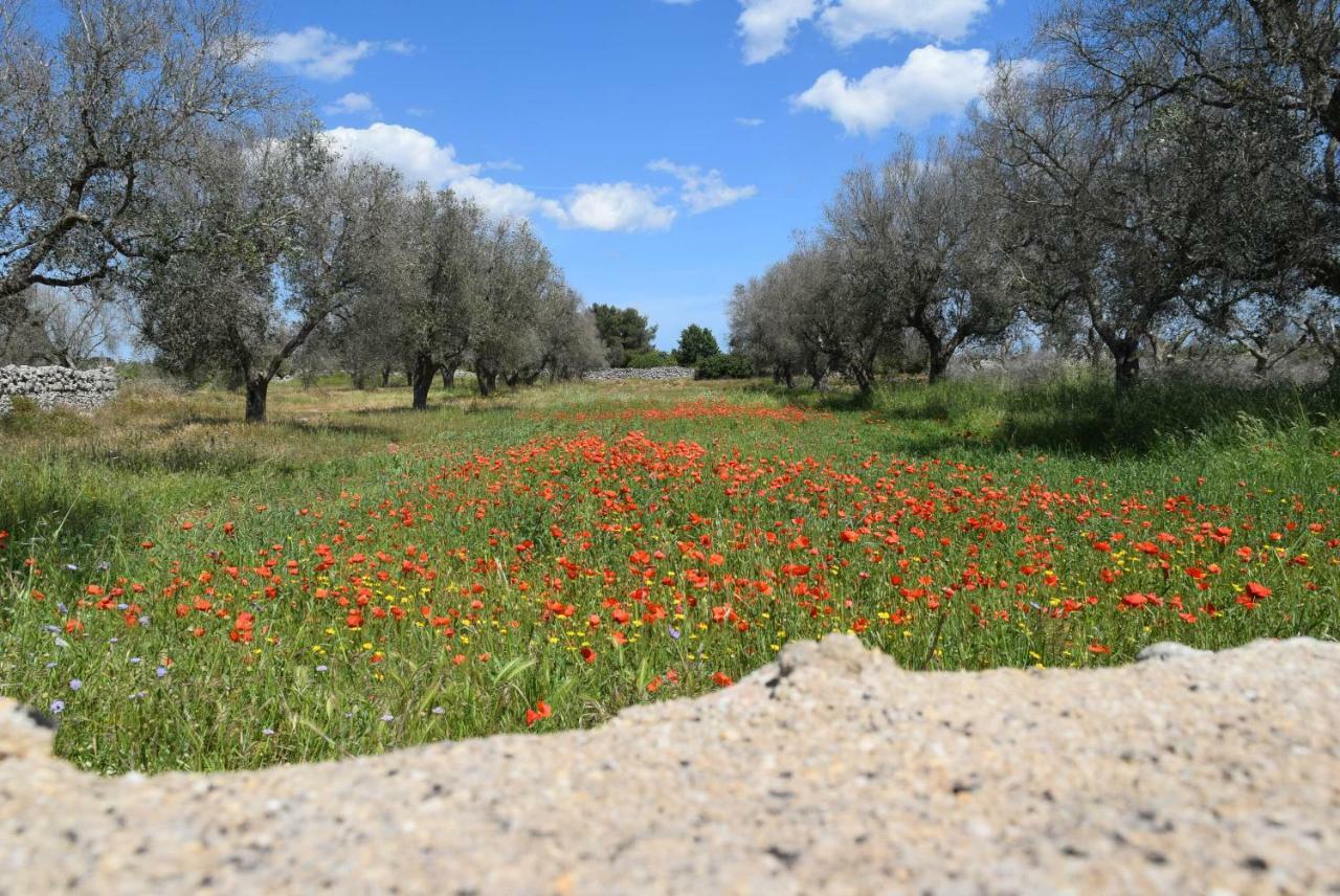 Villa Mios Muro Leccese Εξωτερικό φωτογραφία